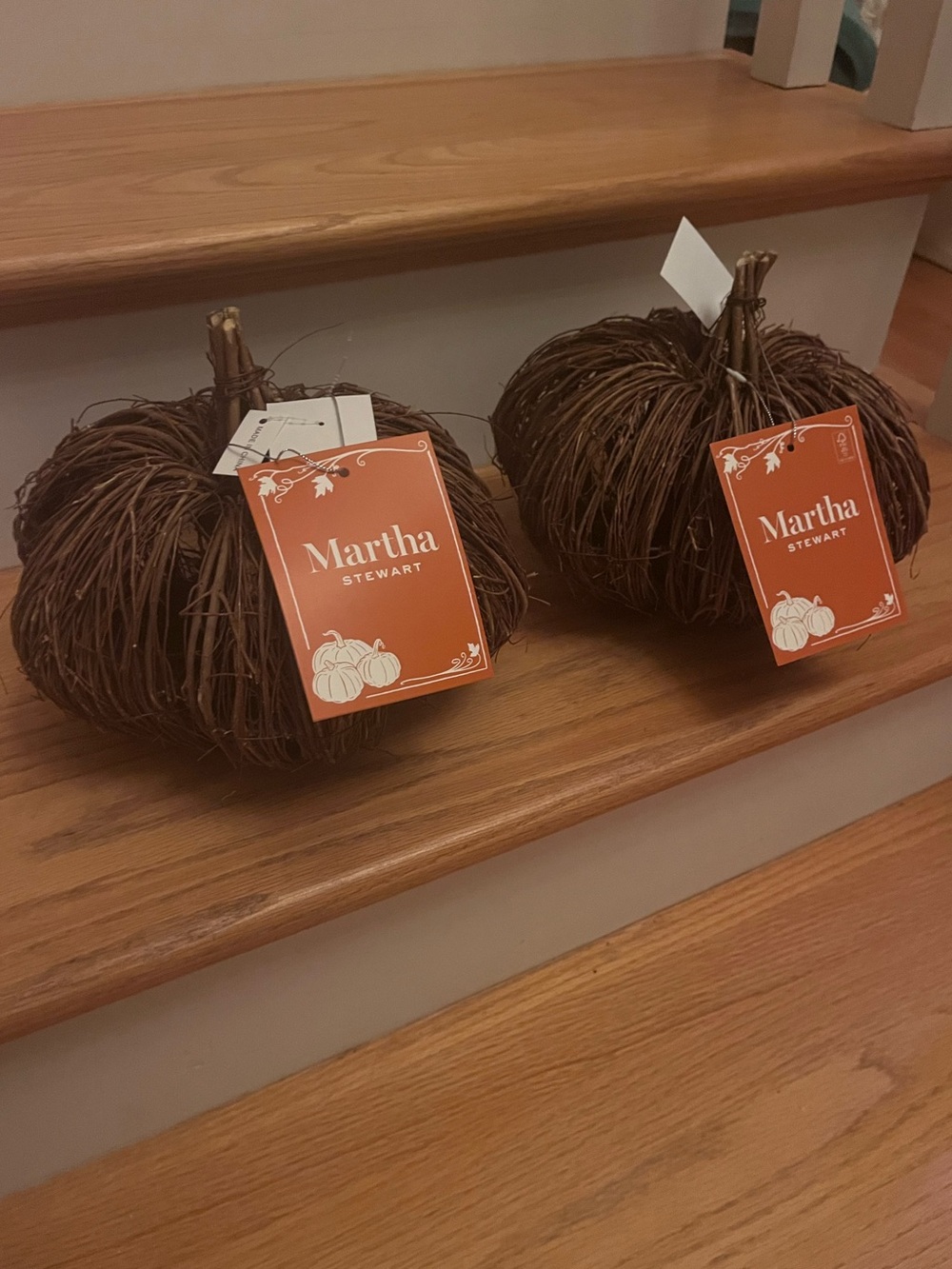 Martha Stewart Brown Grapevine Pumpkin Décor (set of 2)
